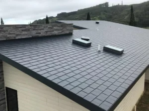 Roof Maintenance tile